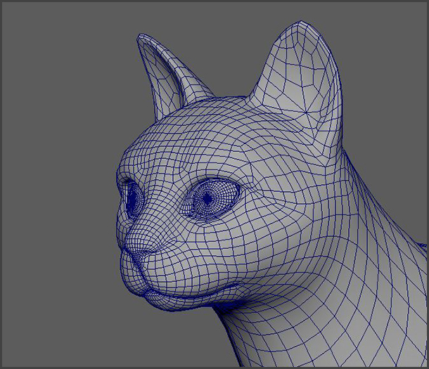 Cat_Maya