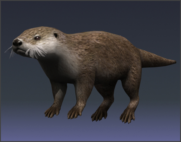 otter_01