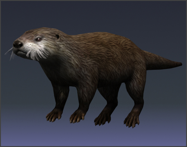 otter_02