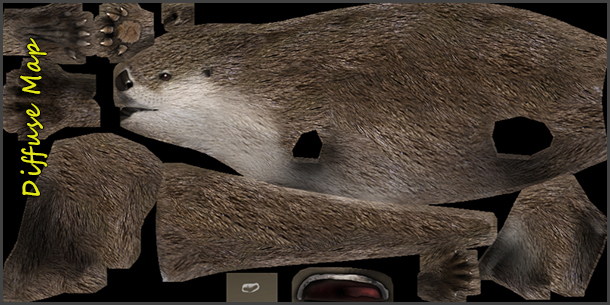 otter_03