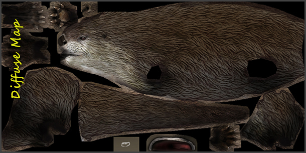 otter_04