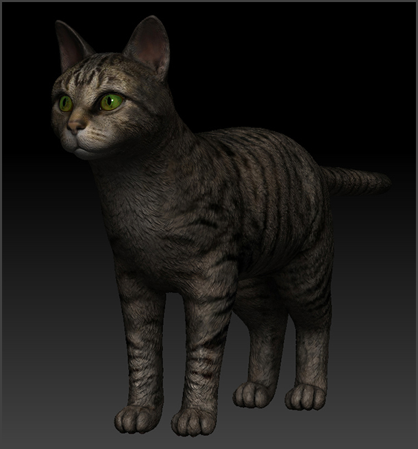 Cat