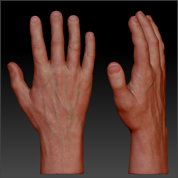 hand_lg01