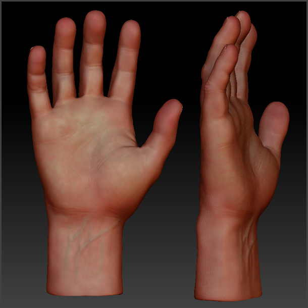hand_lg02