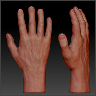 hand