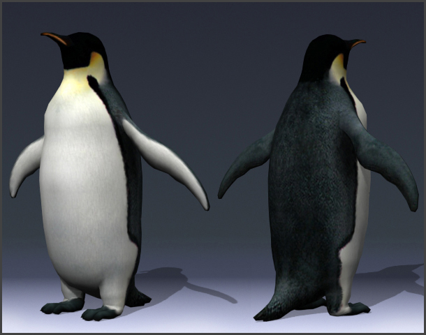 penguin_01